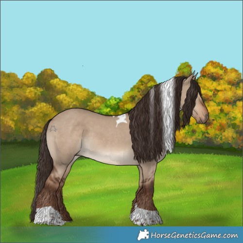 Horse Color:Liver Red Dun Tobiano Rabicano
