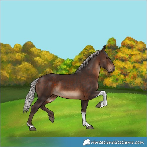 Horse Color:Silver Bay Tobiano Rabicano 