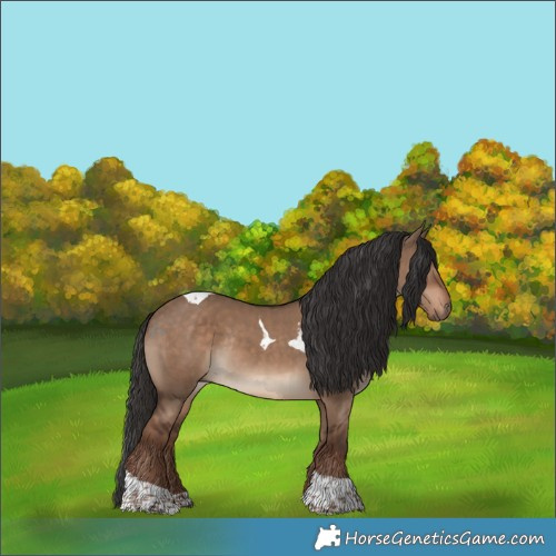 Horse Color:Liver Red Dun Tobiano Rabicano