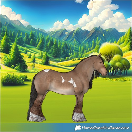 Horse Color:Liver Red Dun Tobiano Rabicano 