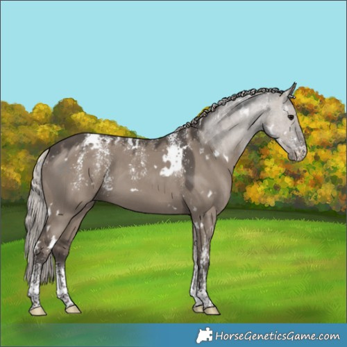 Horse Color:Powder White White Spotted Silver Grullo