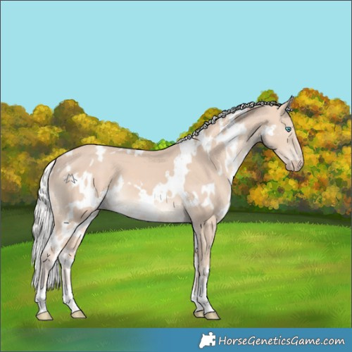 Horse Color:White Spotted Silver Perlino 