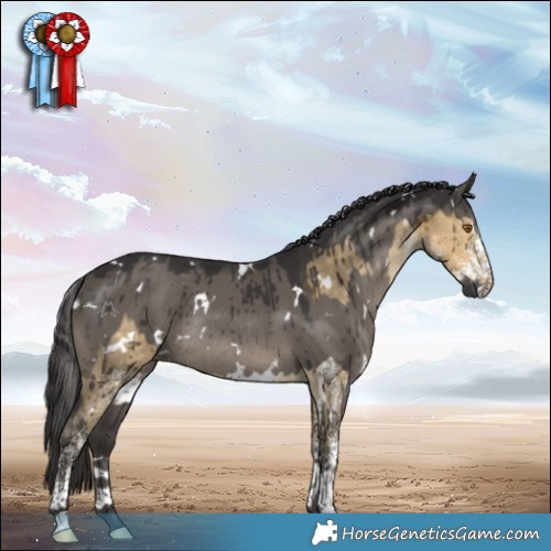 Horse Color:White Spotted Buckskin Dun Rabicano Brindle  and White Spotted Smoky Grullo Rabicano Brindle 