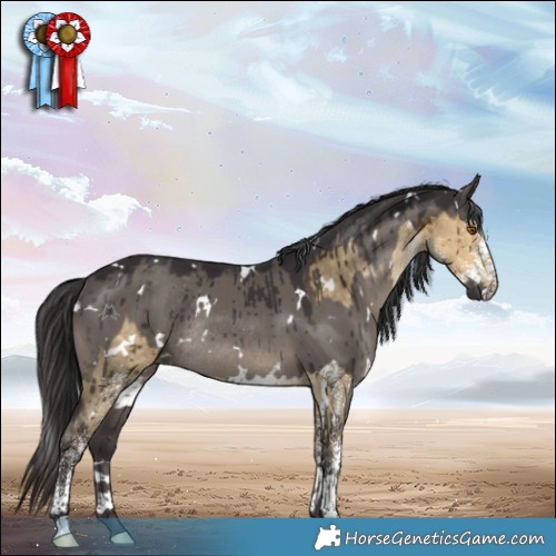 Horse Color:White Spotted Buckskin Dun Rabicano Brindle and White Spotted Smoky Grullo Rabicano Brindle