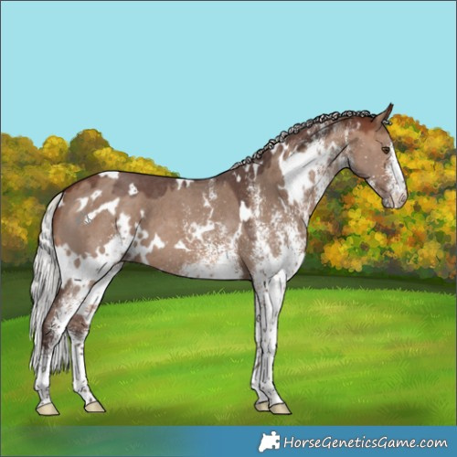 Horse Color:White Spotted Silver Brown Dun 
