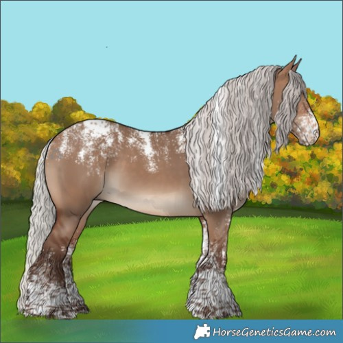 Horse Color:Powder White Silver Brown Dun 