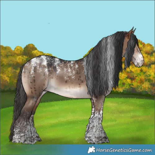 Horse Color:Powder White Brown Dun Brindle 