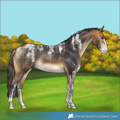 Horse Color:Powder White Buckskin