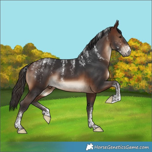Horse Color:Powder White Brown 