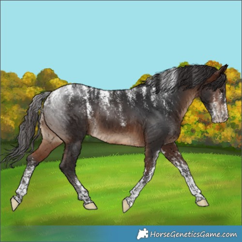 Horse Color:Powder White Brown 