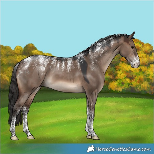 Horse Color:Powder White Brown Dun 