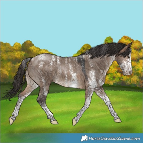 Horse Color:Powder White White Spotted Brown Dun 