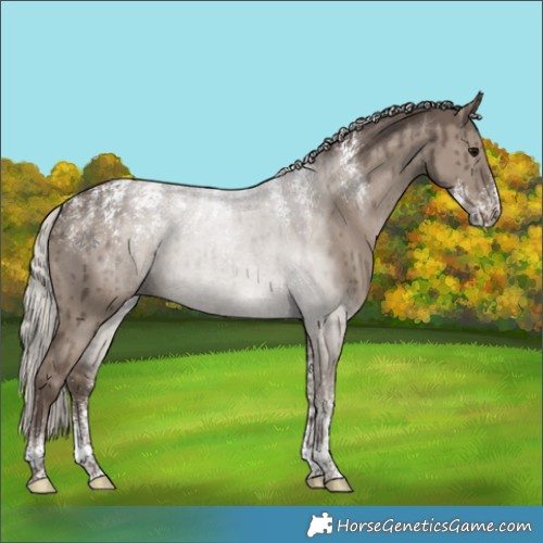 Horse Color:Powder White Silver Grullo Brindle 