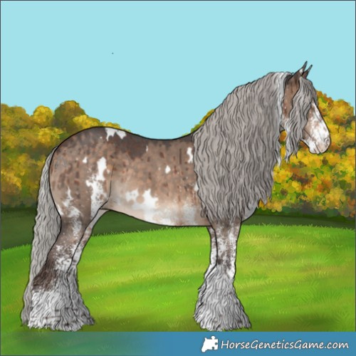 Horse Color:White Spotted Silver Brown Dun Rabicano Brindle