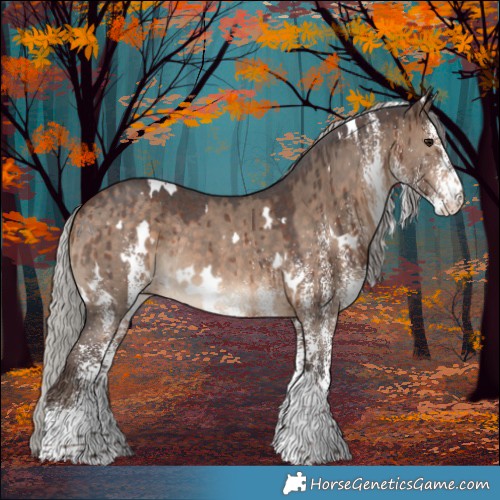 Horse Color:White Spotted Silver Brown Dun Rabicano Brindle 