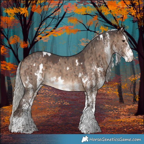 Horse Color:White Spotted Silver Brown Dun Rabicano Brindle