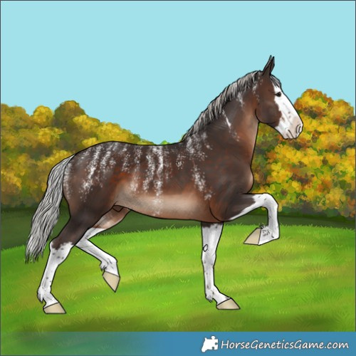 Horse Color:Powder White Silver Brown Splash 