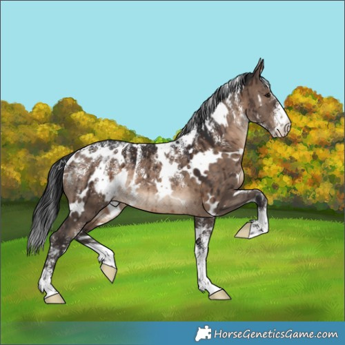 Horse Color:Powder White White Spotted Brown Dun Brindle 