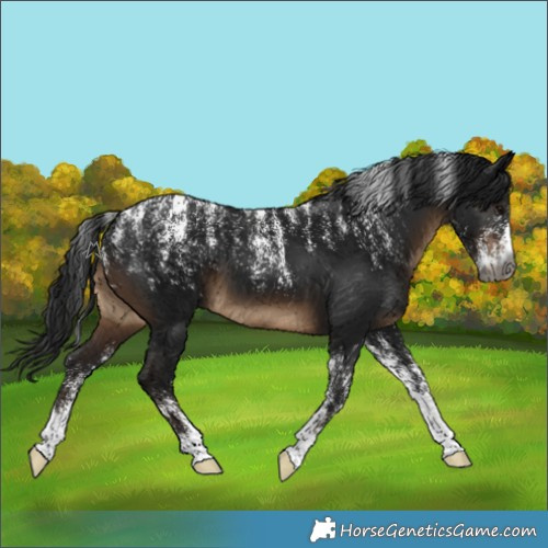 Horse Color:Powder White Gray Brown 