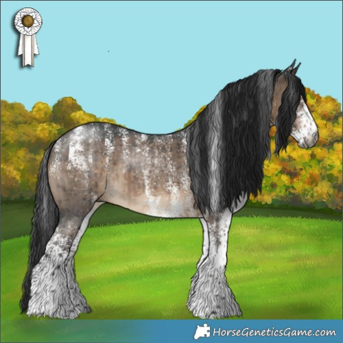 Horse Color:Powder White Gray White Spotted Brown Dun Rabicano Brindle 