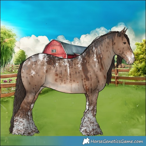 Horse Color:Powder White Liver Red Dun Brindle 