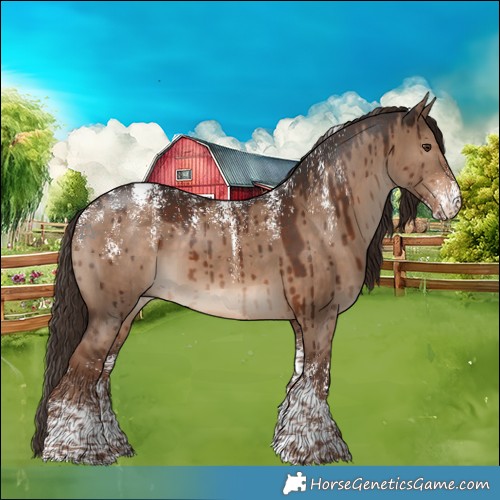 Horse Color:Powder White Liver Red Dun Brindle 