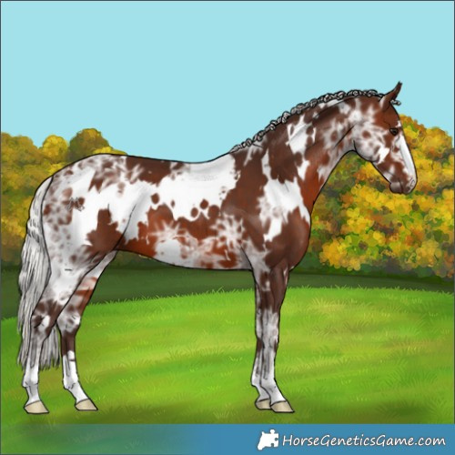 Horse Color:White Spotted Silver Brown Ice 