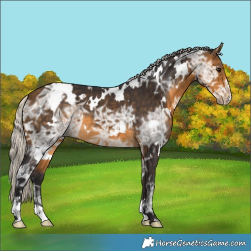 Horse Color:White Spotted Silver Buckskin Ice 