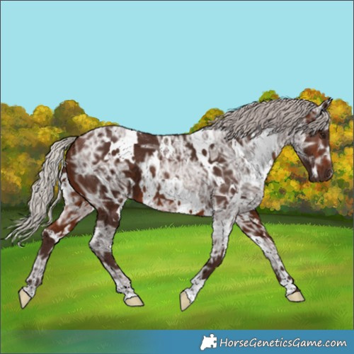 Horse Color:White Spotted Silver Brown Ice 