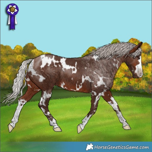 Horse Color:White Spotted Silver Brown 