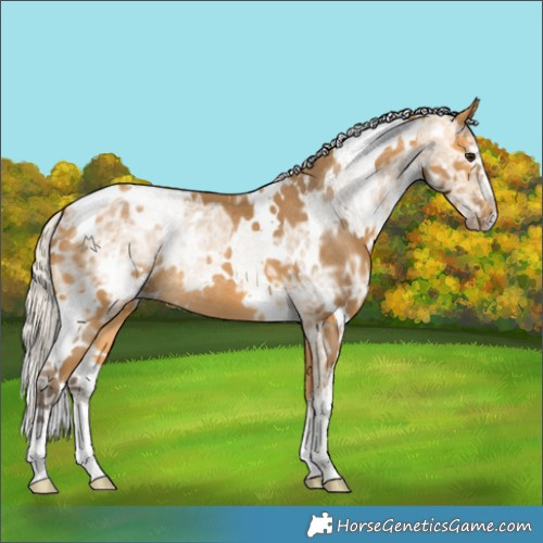 Horse Color:White Spotted Silver Buckskin Ice 