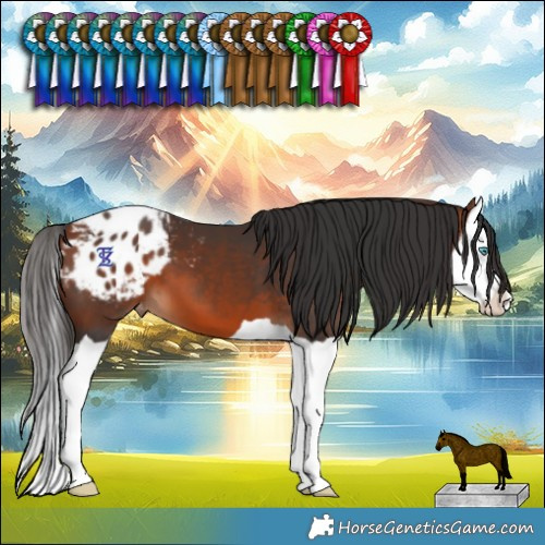 Horse Color:Bay Splash Blanket 
