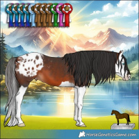 Horse Color:Bay Splash Blanket