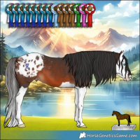 Horse Color:Bay Splash Blanket