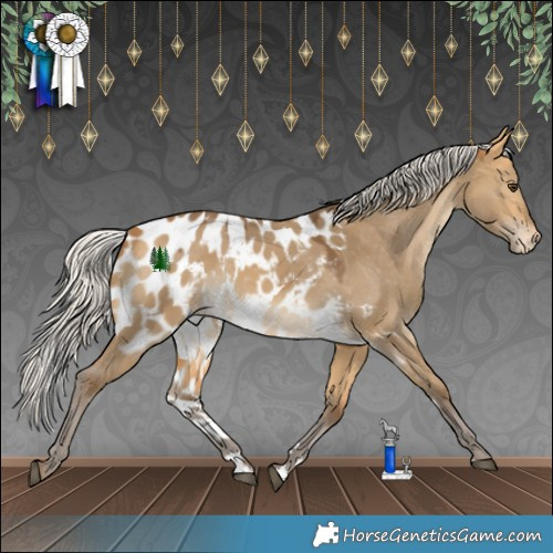 Horse Color:Silver Buckskin Dun Skewed Appaloosa
