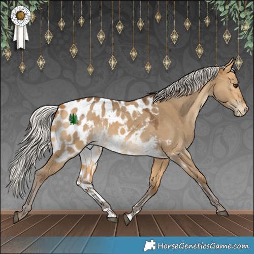 Horse Color:Silver Buckskin Dun Skewed Appaloosa 
