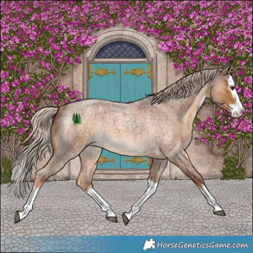 Horse Color:Chocolate Palomino Roan Splash Rabicano