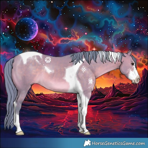 Horse Color:Watercolor Brown Dun Sabino Tobiano 