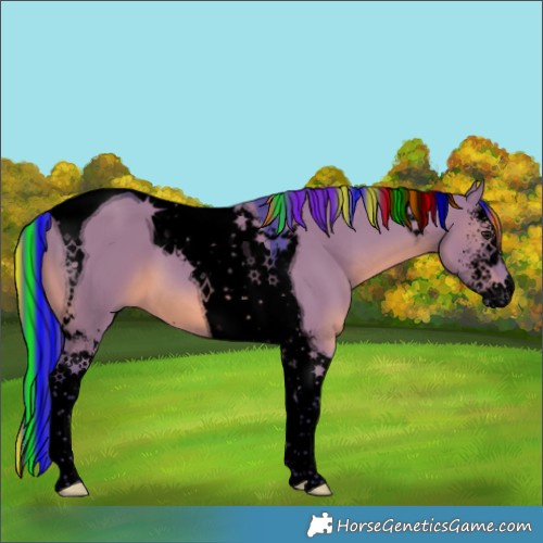 Horse Color:Void Painted Watercolor Grullo Mushroom Sabino Tobiano 