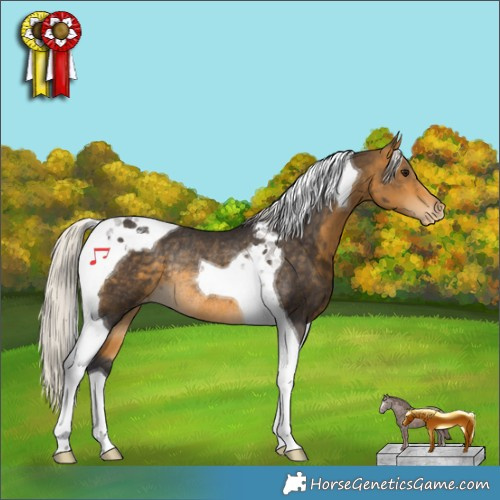 Horse Color:Silver Buckskin Tobiano Appaloosa Rabicano 