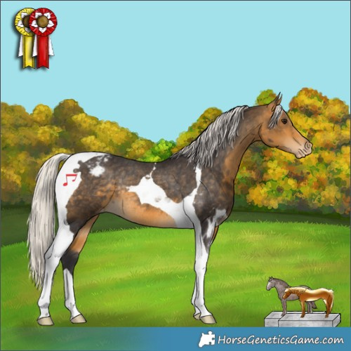 Horse Color:Silver Buckskin Tobiano Appaloosa Rabicano 