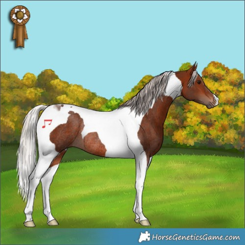 Horse Color:Silver Bay Tobiano Rabicano