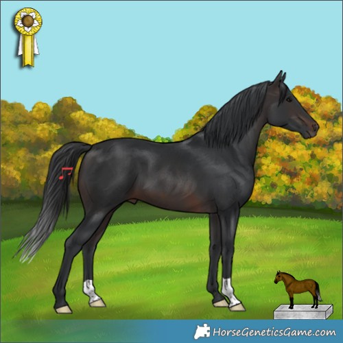 Horse Color:Brown 