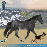 Horse Color:Platinum Buckskin Rabicano