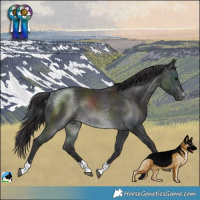 Horse Color:Platinum Buckskin Rabicano
