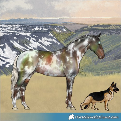 Horse Color:White Spotted Liver Chestnut Mushroom Rabicano