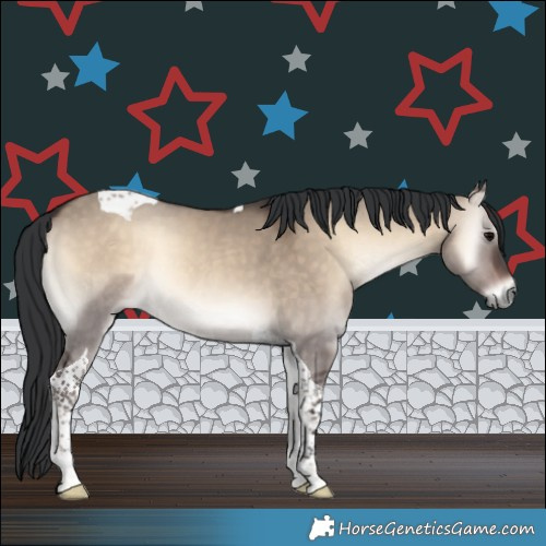 Horse Color:Brown Onyx Tobiano Rabicano 