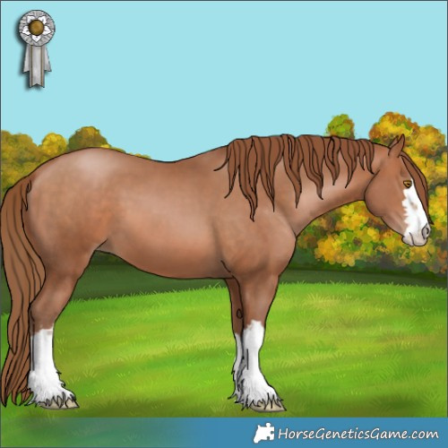 Horse Color:Brown Pearl 