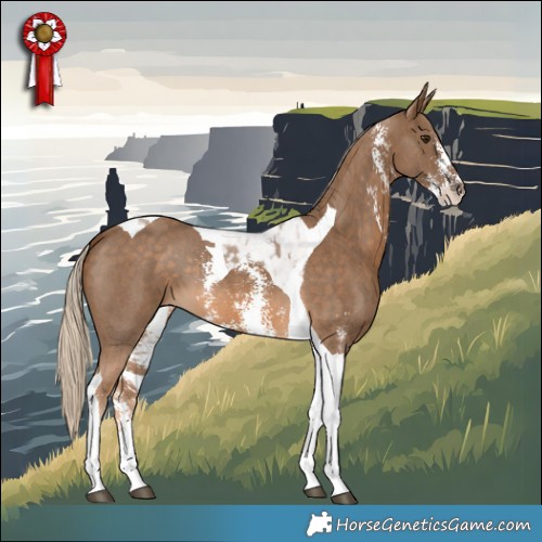 Horse Color:Chocolate Palomino Sabino Tobiano 
