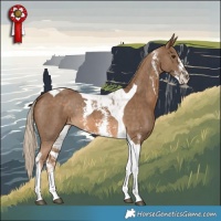 Horse Color:Chocolate Palomino Sabino Tobiano